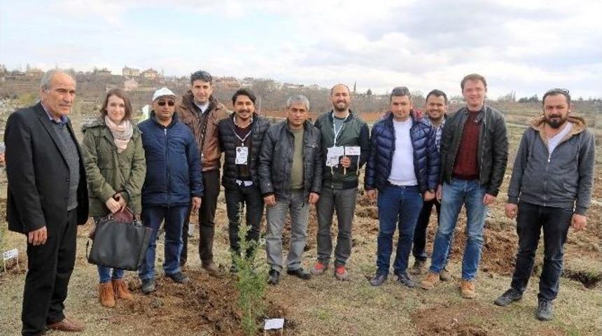 Talas&rsquo;ta Şehitler Anısına Bin Fidan Toprakla Buluştu