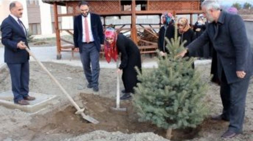 Erzincan M&uuml;ft&uuml;l&uuml;ğ&uuml;&rsquo;nden Fidan Dikim Kampanyası