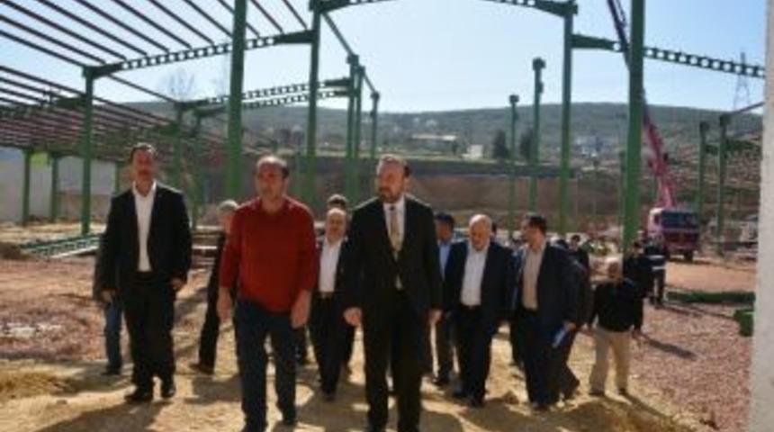 Hayvan Pazarı Ve Borsası, Kurban Bayramına Hazırlanıyor