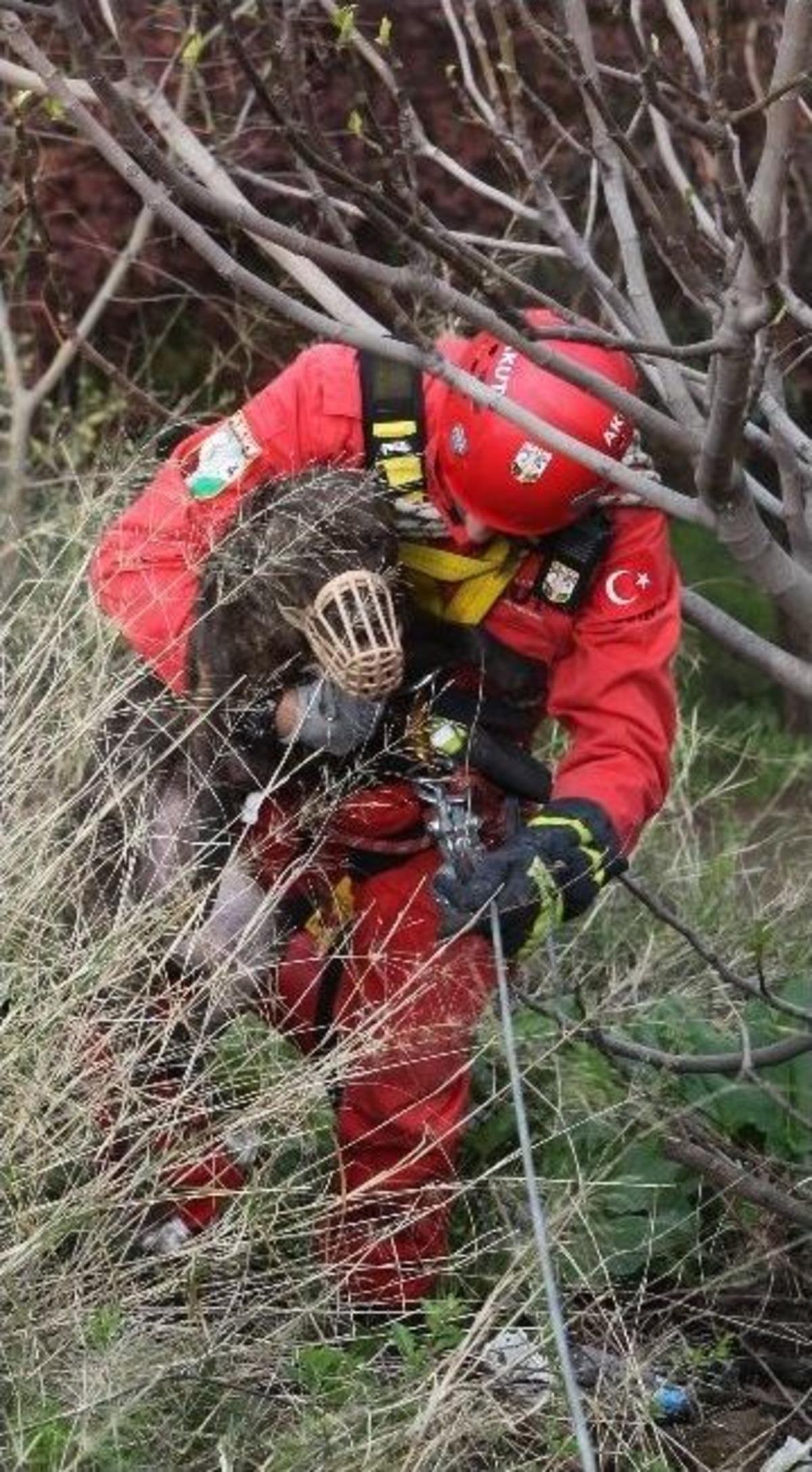 U&ccedil;urum Kenarına D&uuml;şen K&ouml;peği Akut Kurtardı