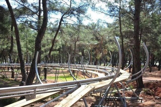 Kepez Park Orman Projesi Gün Sayıyor