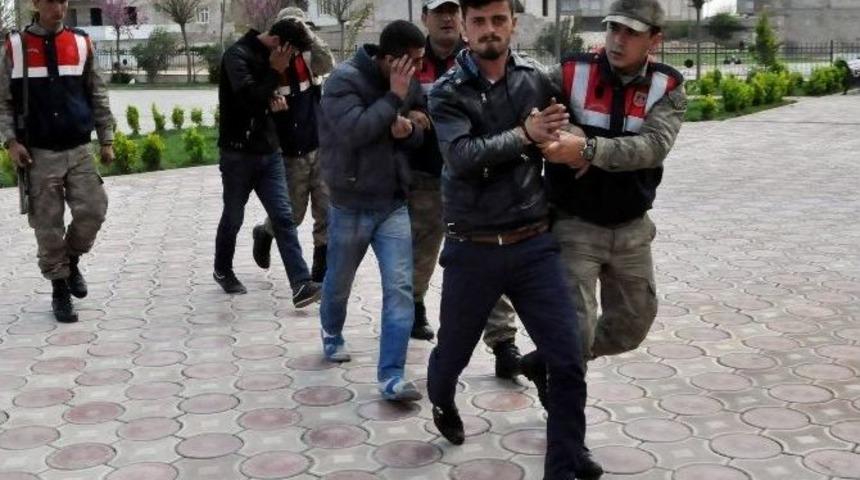 Jandarma Hırsızlık Şebekesini &Ccedil;&ouml;kertti