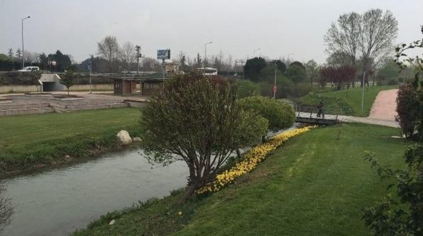 Bursa Bah&ccedil;eleri Lale A&ccedil;tı