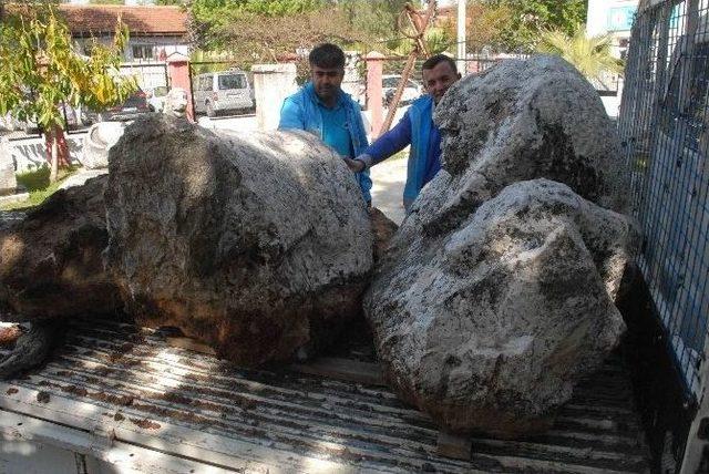 M.ö. 4’üncü Yüzyıla Ait Eserler Bahçe Duvarı Olarak Kullanılmış