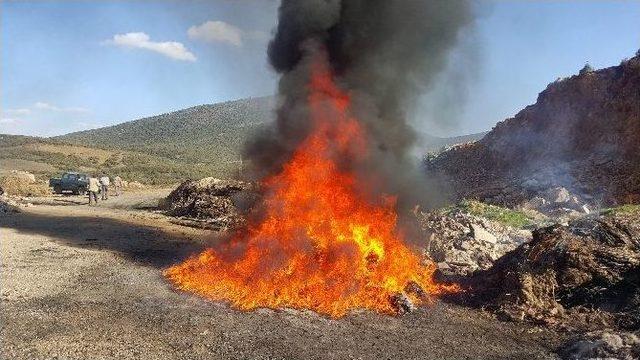 Jandarmanın Gölden Topladığı Yasak Ağ İmha Edildi