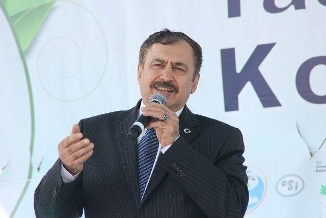 Bakan Eroğlu Chp’li Belediyelere Yüklendi 2