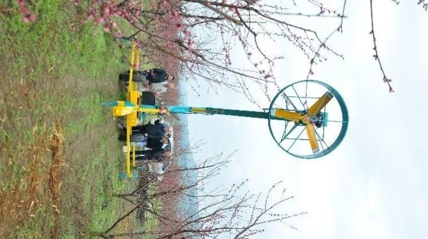 Meyve Ağa&ccedil;arı Artık Donmayacak