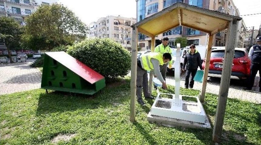 Sokak Hayvanları Veteriner Zabıtasına Emanet