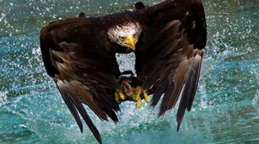 Bu kez tam tersi oldu