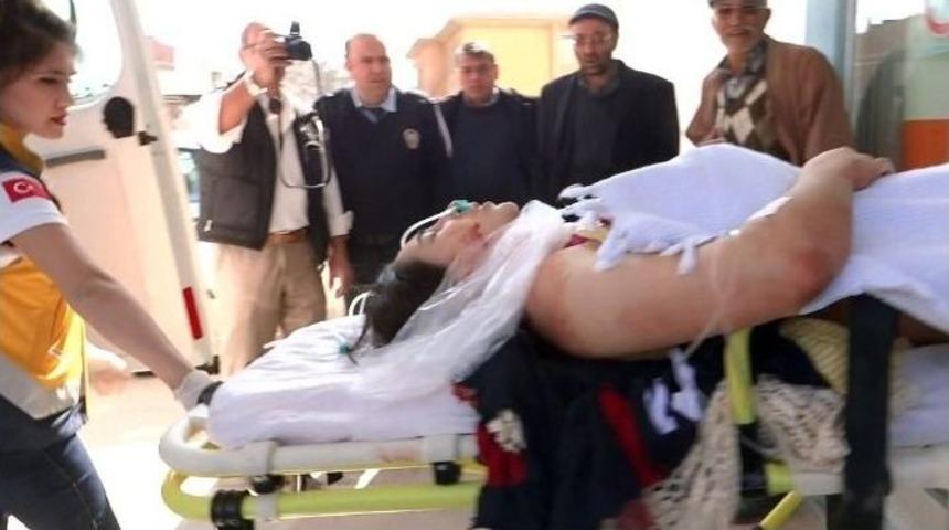 T&uuml;fekle Şakalaşırken Kedini Vurdu