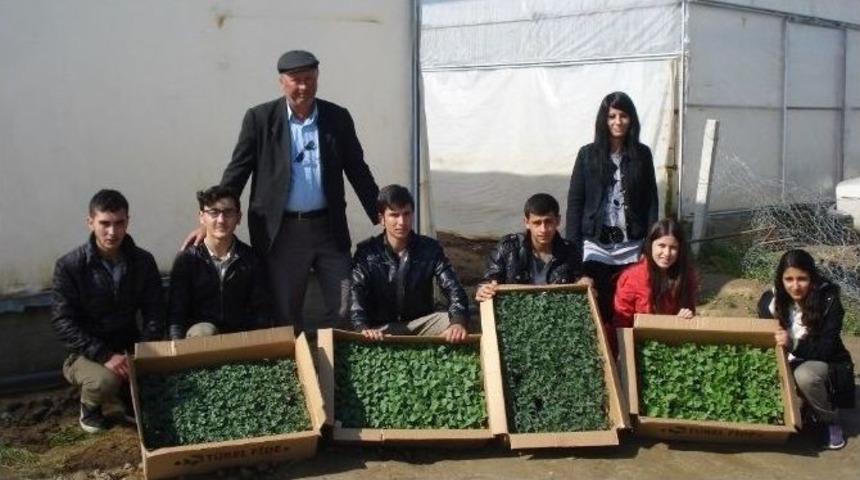 Sarıg&ouml;l&rsquo;de Lise &Ouml;ğrencileri Organik Tarıma Başladı