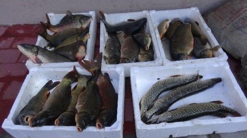 Ka&ccedil;ak Avlanan Balık&ccedil;ılara Su&ccedil; &Uuml;st&uuml;