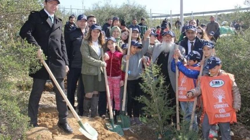 Minik &Ouml;ğrenciler, Huzurevi Yaşlılarıyla Birlikte Fidan Dikti