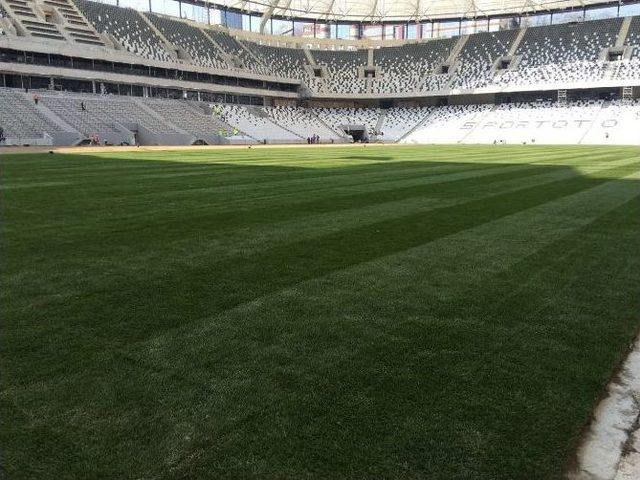 Vodafone Arena’da Çim Serme İşlemi Sürüyor