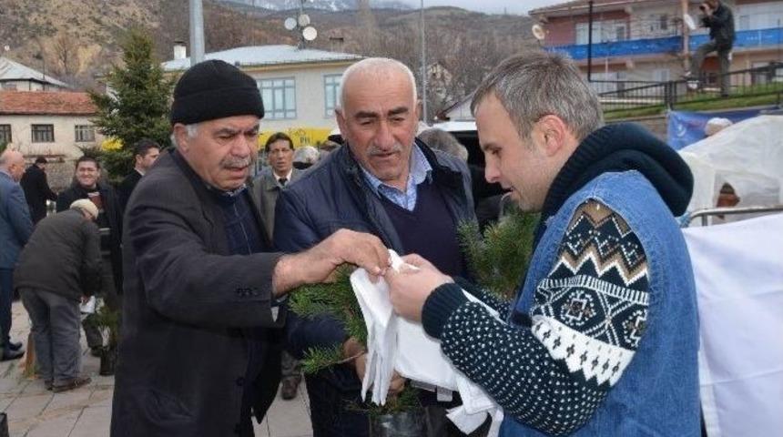 Koyulhisar&rsquo;da 3 Bin Fidan Dağıtıldı