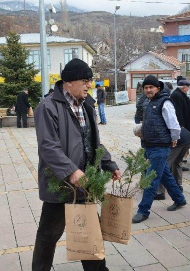 Koyulhisar’da 3 Bin Fidan Dağıtıldı