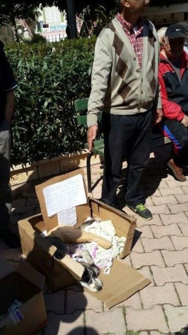 Cami Bah&ccedil;esinde Toplanan Yardımlar Bu Kez &rsquo;fındık&rsquo; İ&ccedil;in 2