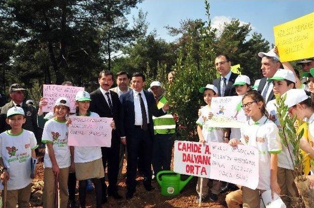 Cumhurbaşkanı Erdoğan’ın Katılımıyla İzmir’e Fidanlar Dikildi