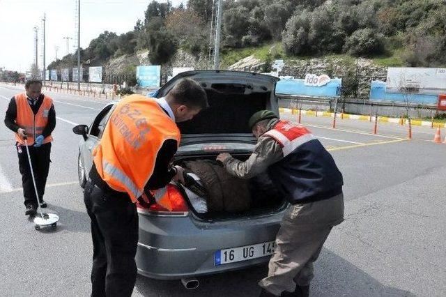 Eskihisar-topçular Feribotunda Canlı Bomba Paniği