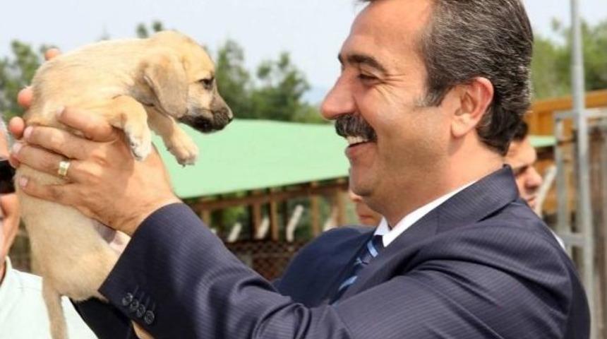 &Ccedil;ukurova&rsquo;dan 5 Yıldızlı Barınak Geliyor