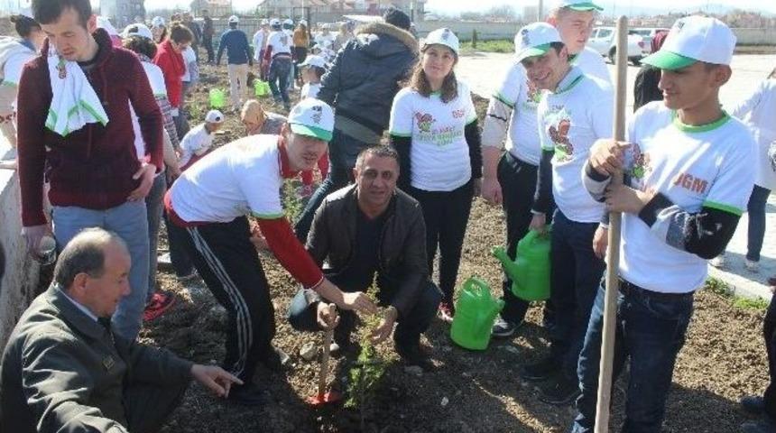Fidan Dikimi Engel Tanımıyor