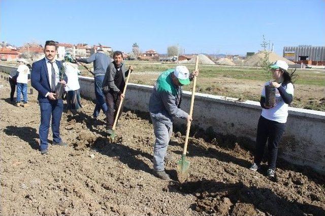 Fidan Dikimi Engel Tanımıyor