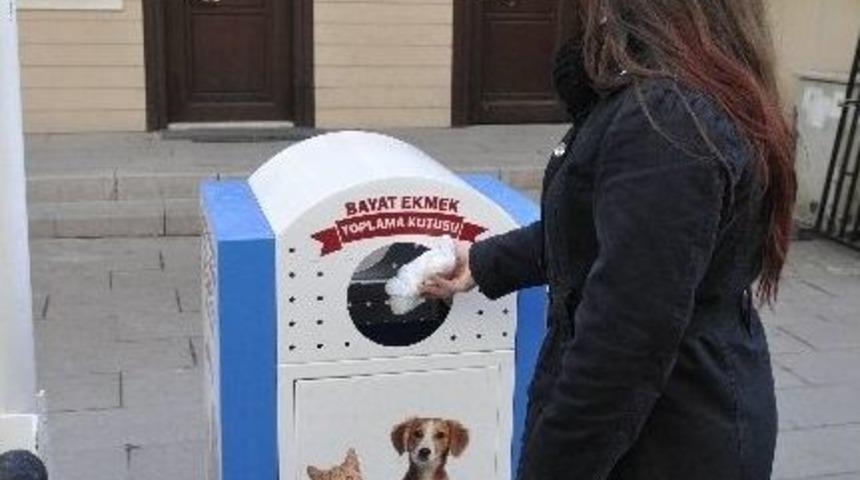 Sokak Hayvanları İ&ccedil;in 100 Ton Bayat Ekmek Toplandı
