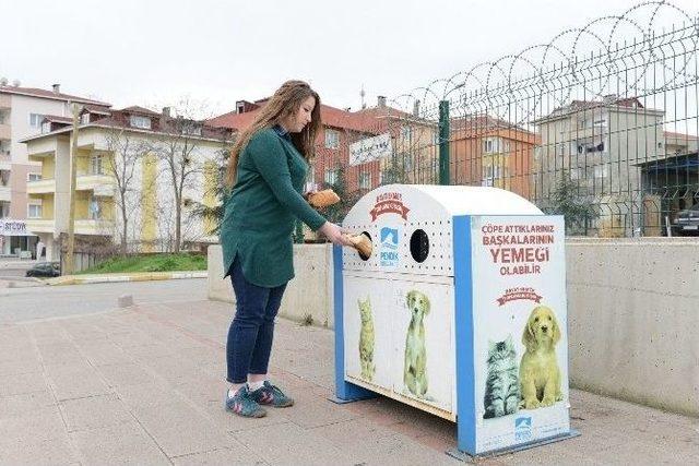 Sokak Hayvanları İçin 100 Ton Bayat Ekmek Toplandı