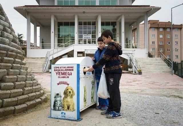 Sokak Hayvanları İçin 100 Ton Bayat Ekmek Toplandı