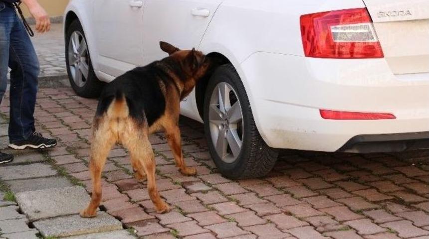 Polis &Ouml;nlemi, Olayları &Ouml;nledi