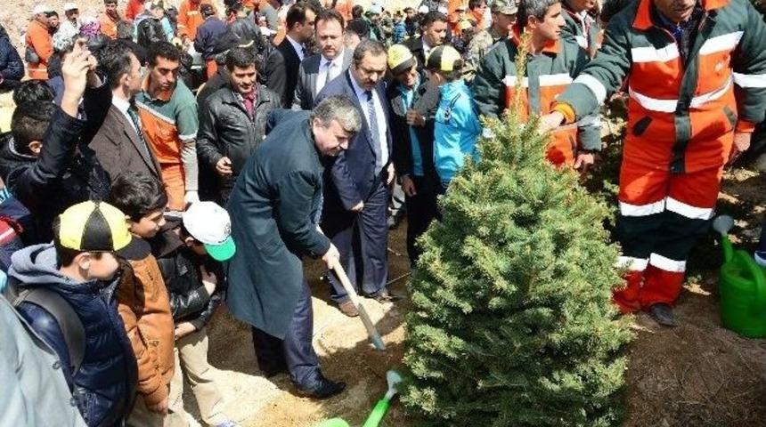 Konya&rsquo;da 5 Milyon Fidan Toprakla Buluşuyor