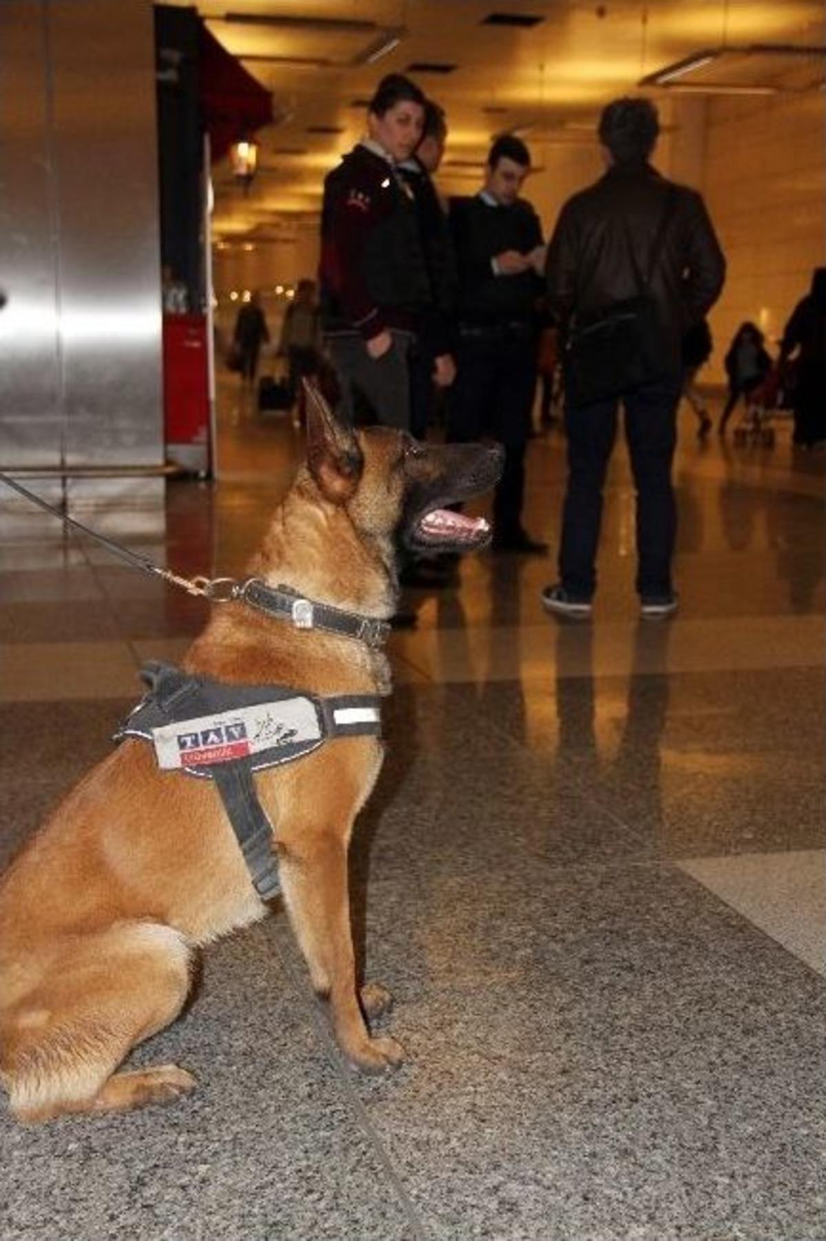 Atat&uuml;rk Havalimanı&rsquo;nda G&uuml;venlik &Ouml;nlemleri &Uuml;st D&uuml;zeye &Ccedil;ıkarıldı