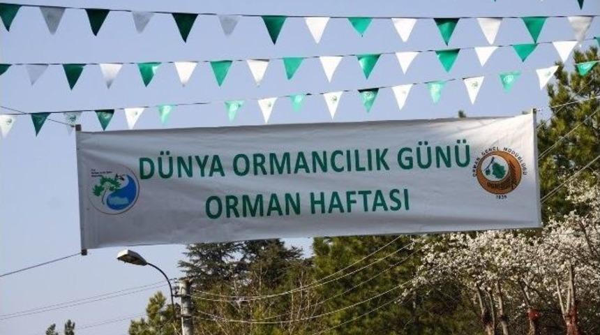 D&uuml;nya Ormancılık G&uuml;n&uuml; Ve Orman Haftası Kutlamaları Başladı