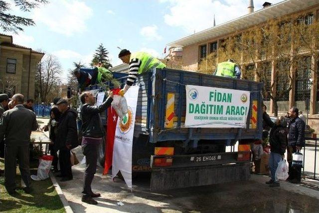 Dünya Ormancılık Günü Ve Orman Haftası Kutlamaları Başladı