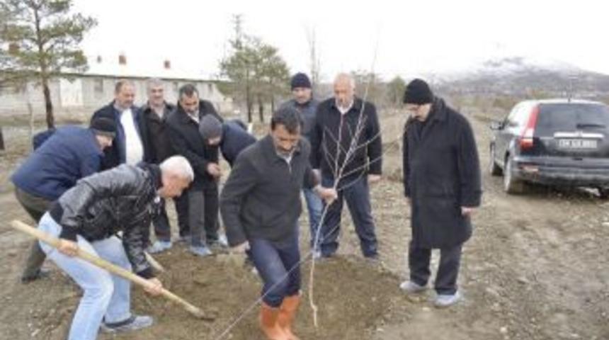 Dap Destekli Meyvecilik B&ouml;lgede Hız Kazanıyor
