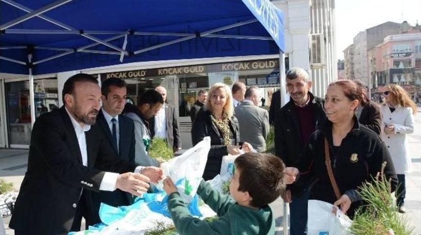 İzmit Belediyesi 20 Bin Fidan Dağıtacak