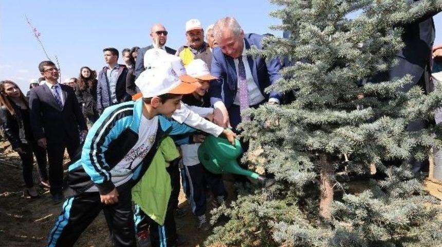 Denizli&rsquo;de Binlerce Fidan Toprakla Buluştu