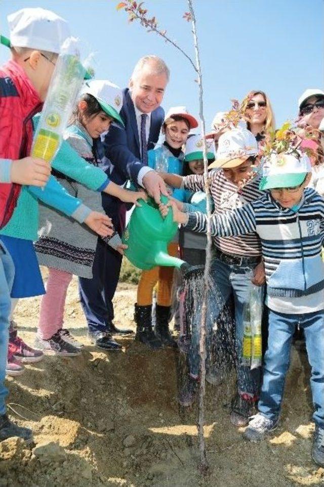 Denizli’de Binlerce Fidan Toprakla Buluştu