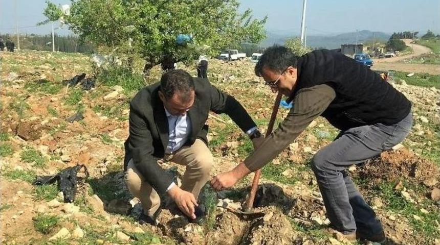 Ayvalık’ta Orman Haftası Ve Ağaç Bayramı