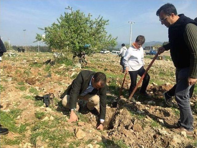 Ayvalık’ta Orman Haftası Ve Ağaç Bayramı