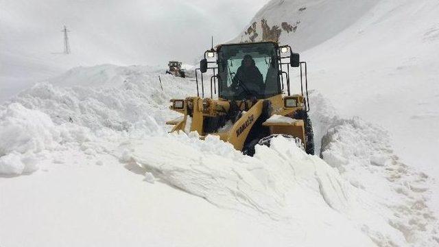 Van-bahçesaray Yoluna Çığ Düştü