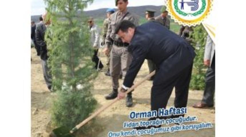 Başkan Bakıcı: &ldquo;ormanlar D&uuml;nyamızın En &Ouml;nemli Servetleridir&rdquo;