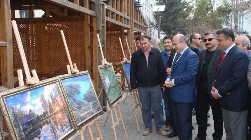 &lsquo;doğanın Dili&rsquo; Fotoğraf Sergisi A&ccedil;ıldı