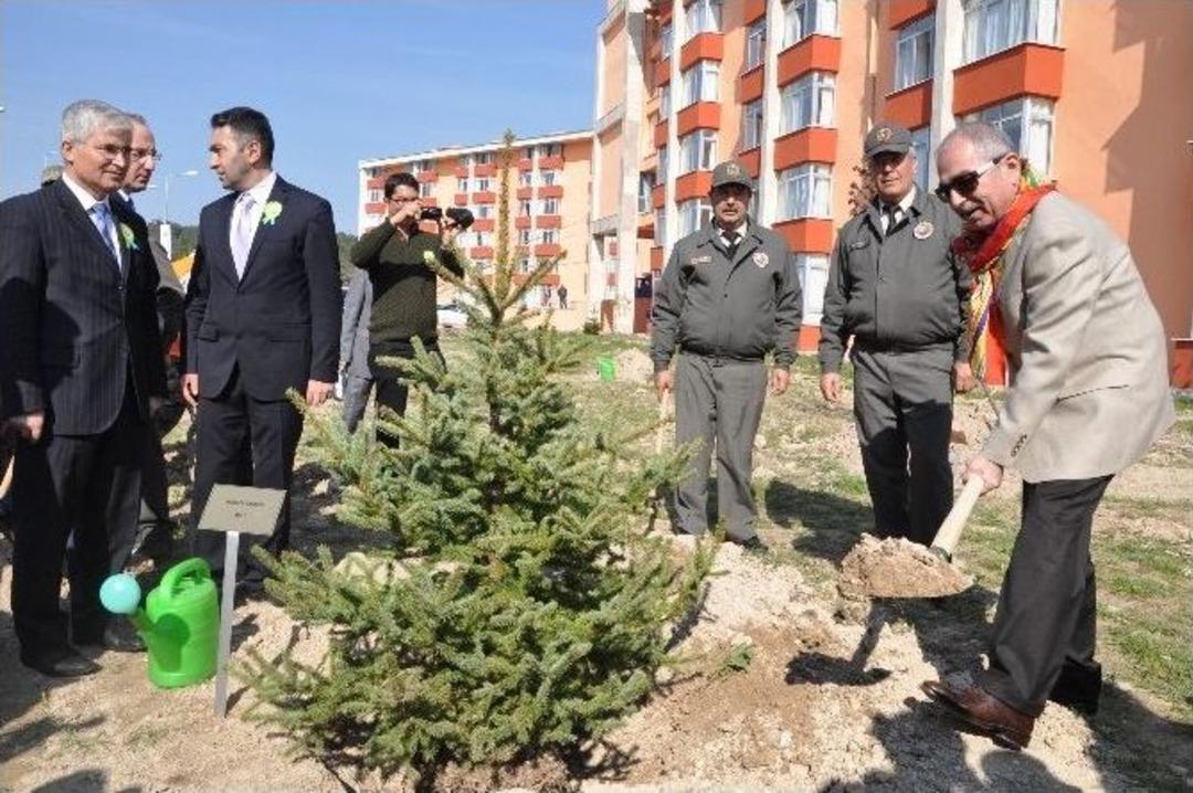 21 Mart Nevruz Bayramı Ve D&uuml;nya Ormancılık G&uuml;n&uuml; Kutlandı