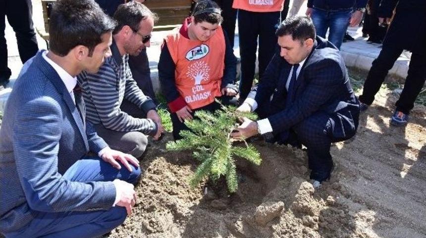 Down Sendromlu Öğrenciler Fidan Dikti