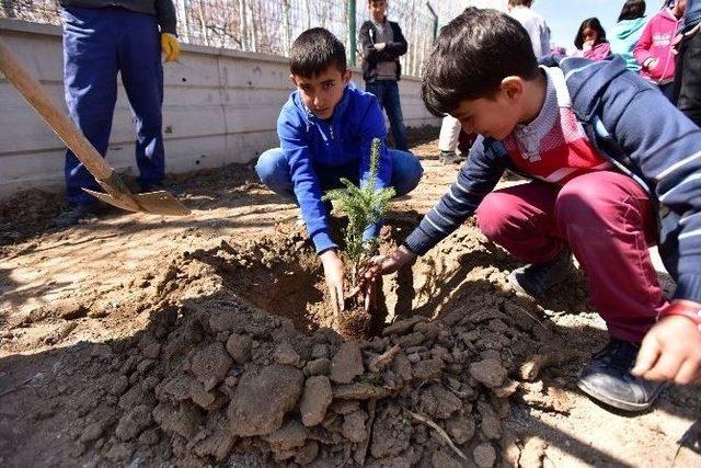 Down Sendromlu Öğrenciler Fidan Dikti 1