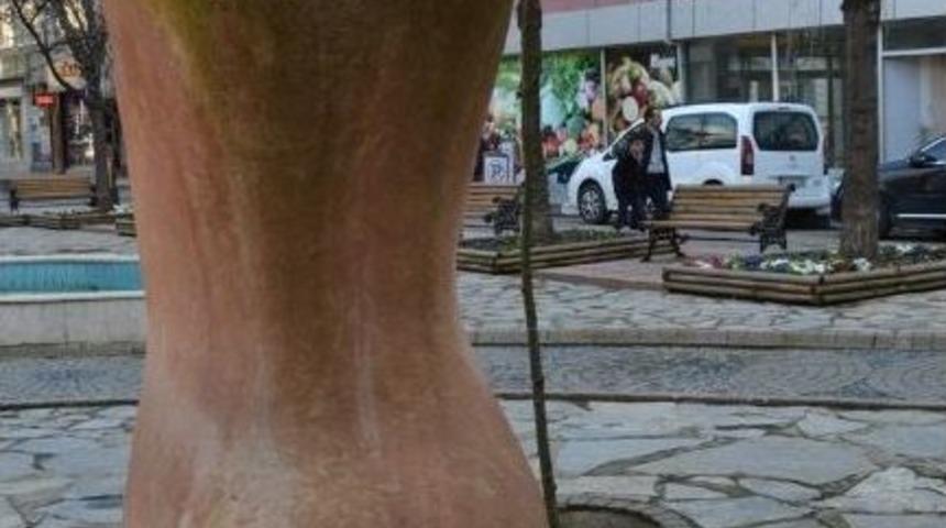 Ordu’da Heykeller Kaldırılıyor