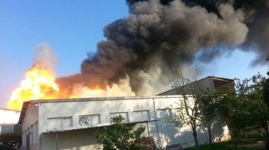 Boya Deposunda Korkutan Yangın (1)