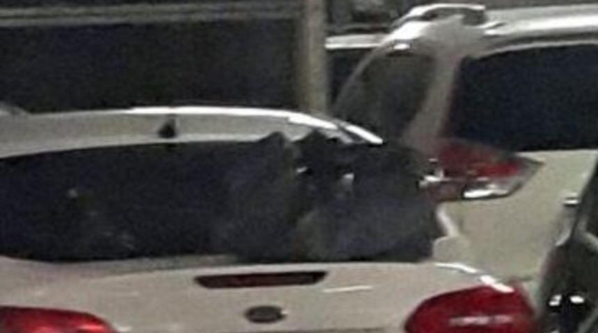 (&ouml;zel Haber) Ş&uuml;pheli Paketten Can Yeleği &Ccedil;ıktı