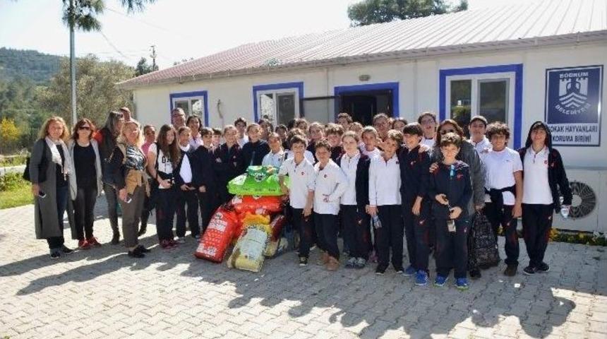 &Ouml;ğrenciler Topladıkları Paralarla Mama Aldı (fotoğraflı)